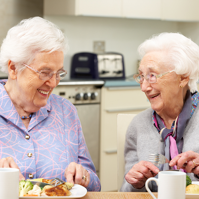 Two gray haired friends enjoying a meal together